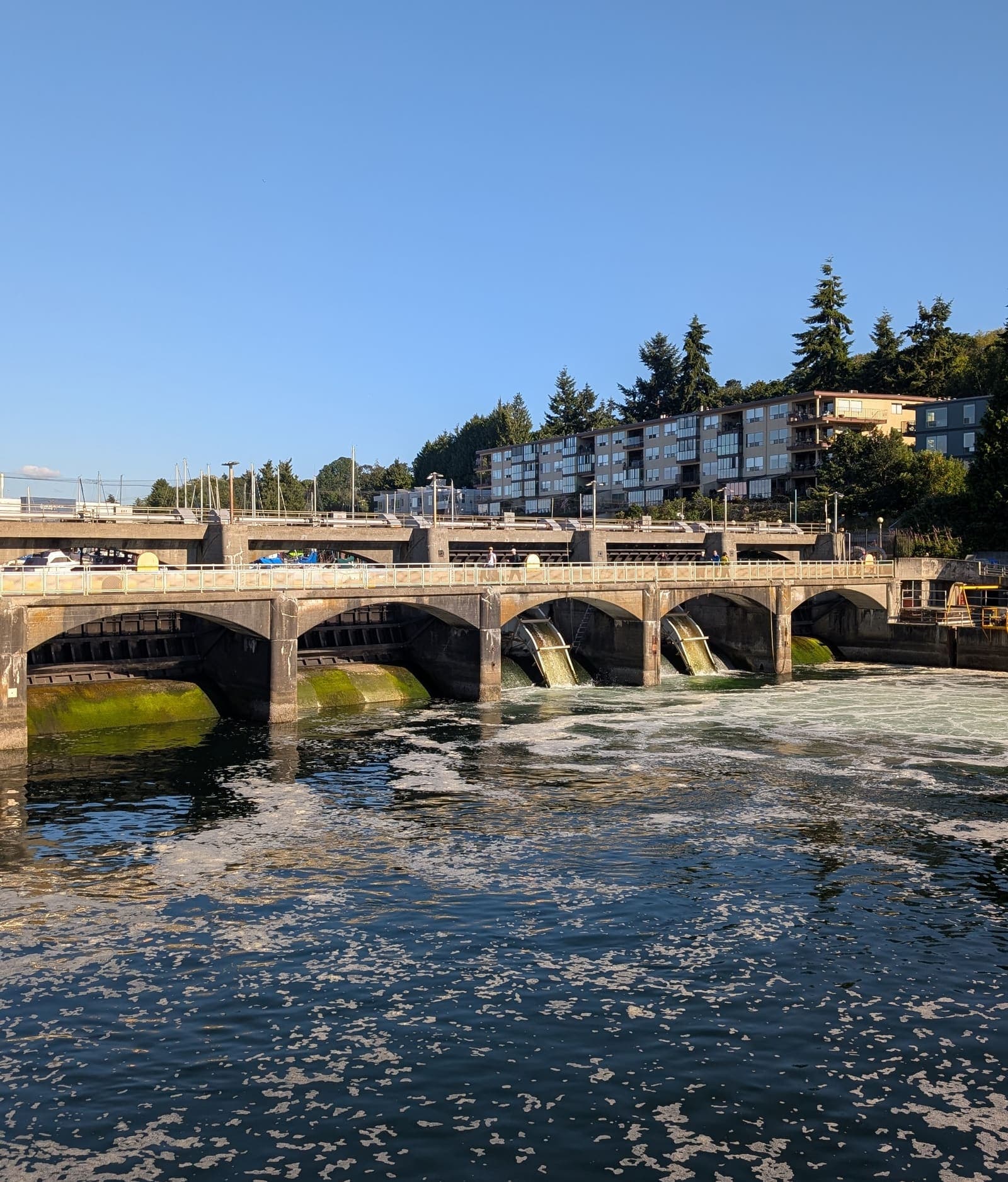 The Ballard (Hiram M. Chittenden) Locks in Seattle