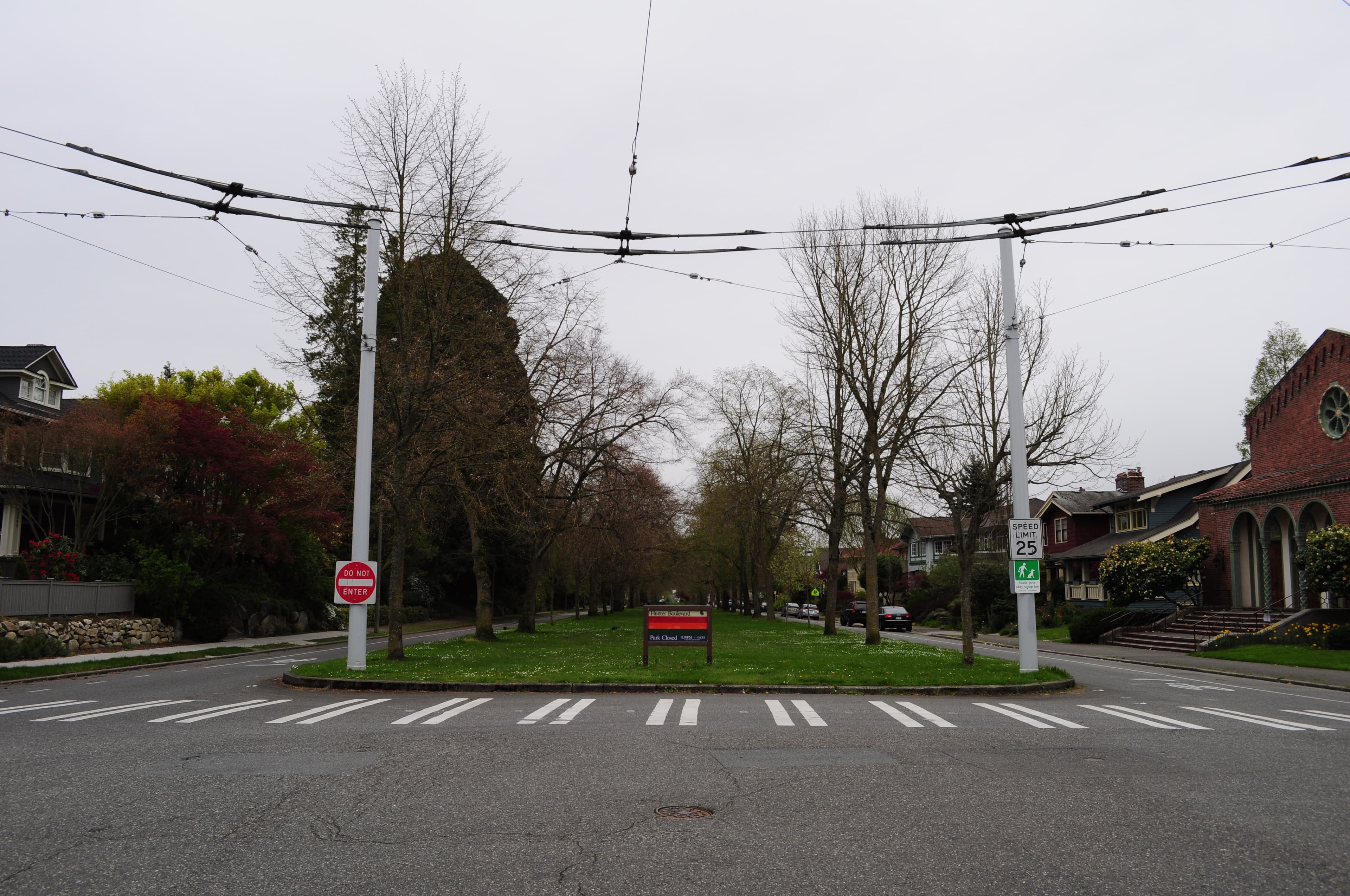 Hunter Boulevard, one of the Olmsted-designed tree-lined boulevards in Seattle's Mount Baker neighborhood