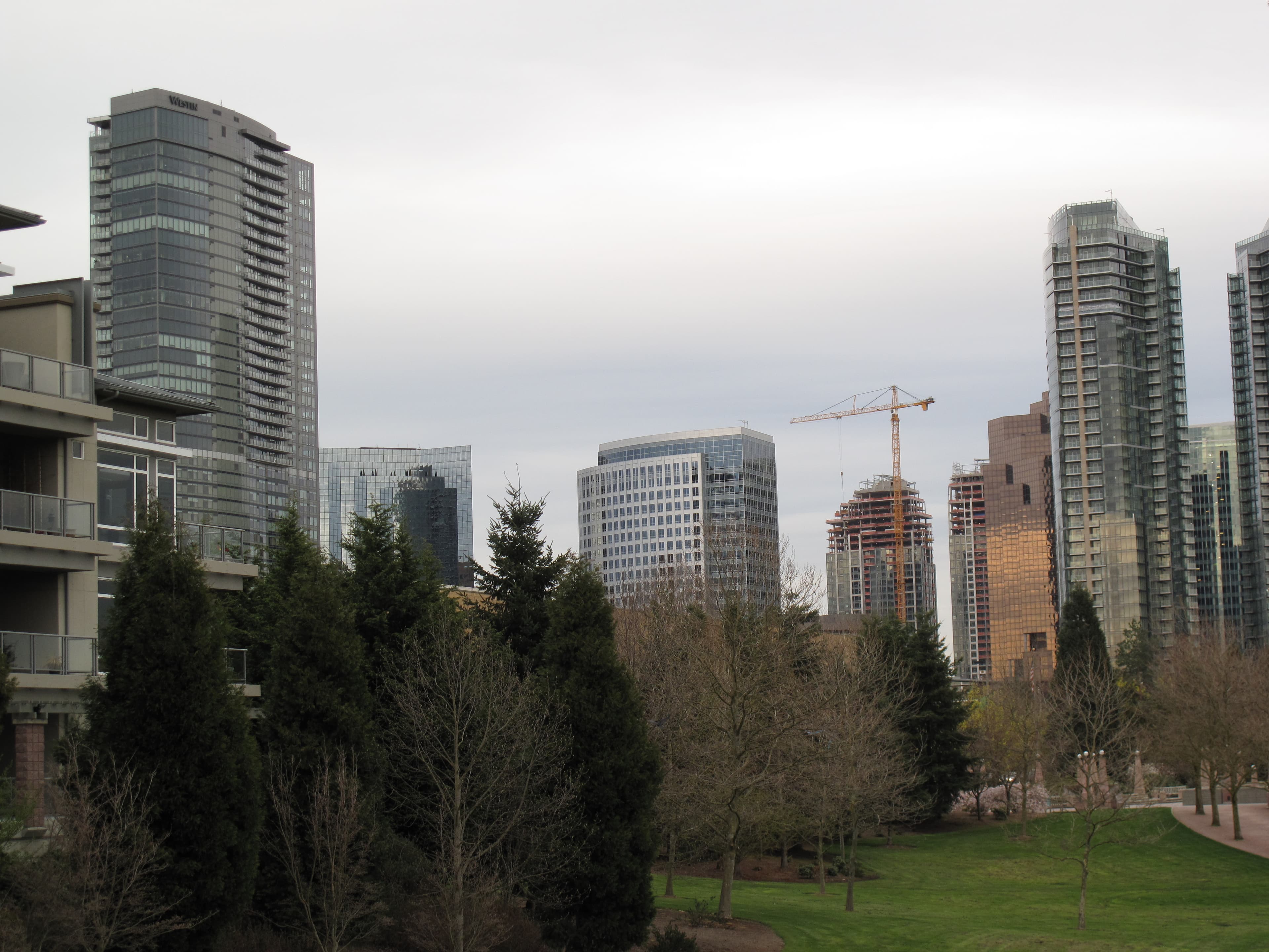 The downtown Bellevue, Washington skyline with high-rise towers and a construction crane